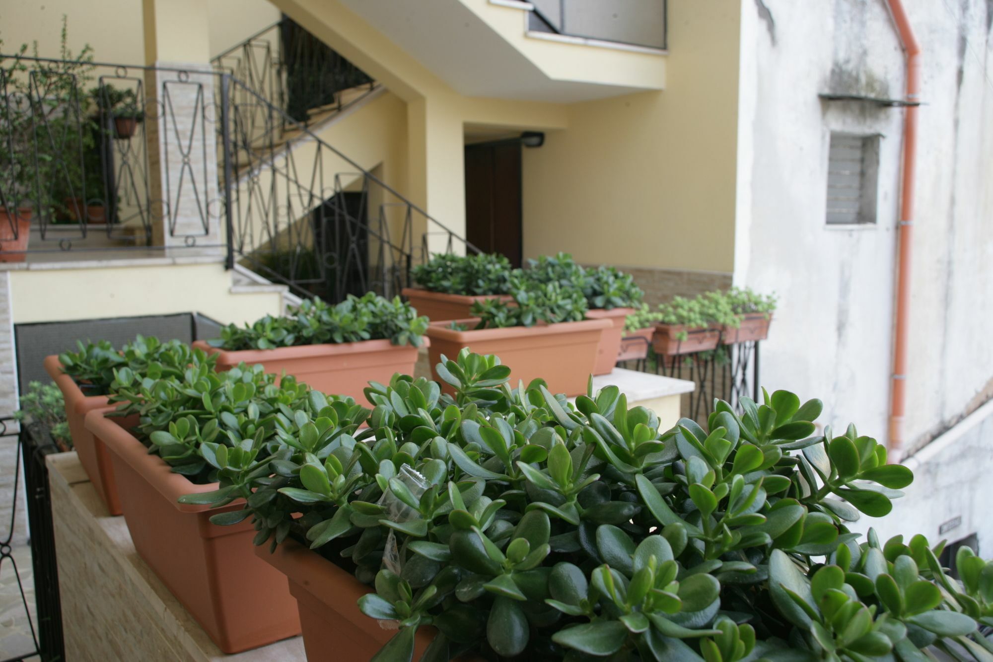 Ferienwohnung Casa Carmen Neapel Exterior foto